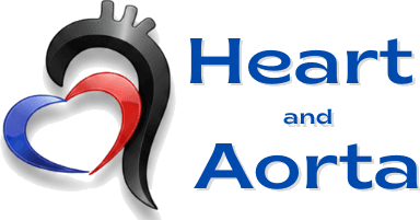 Heart & Aorta — home